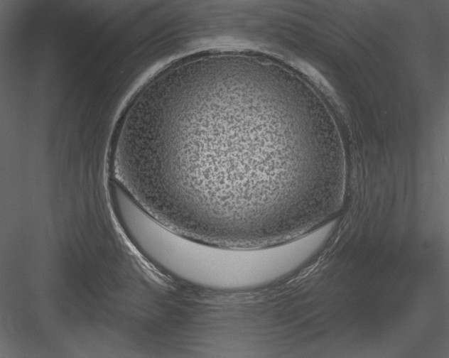 X0000083991183200702232103