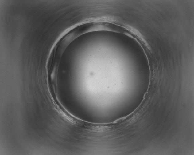 X0000083991184200702232103