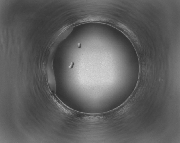 X0000083991185200702232103