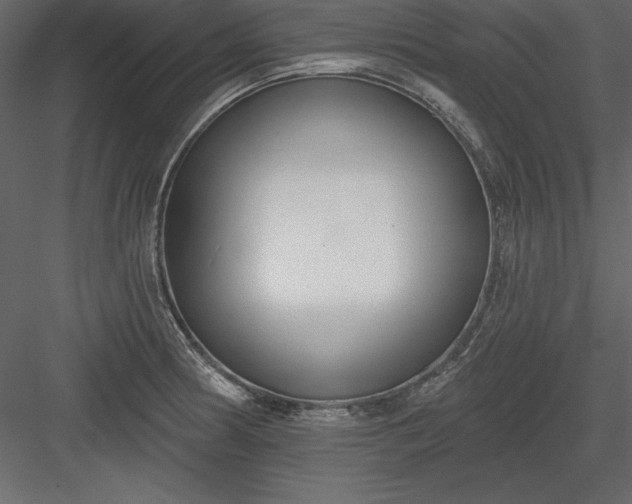 X0000083991186200702232103