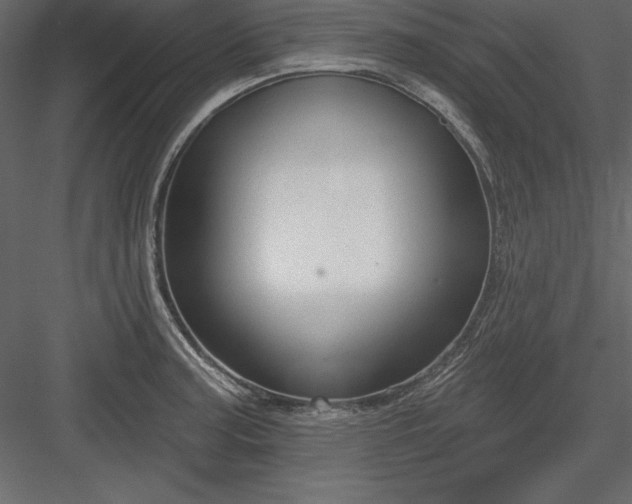 X0000083991187200702232103