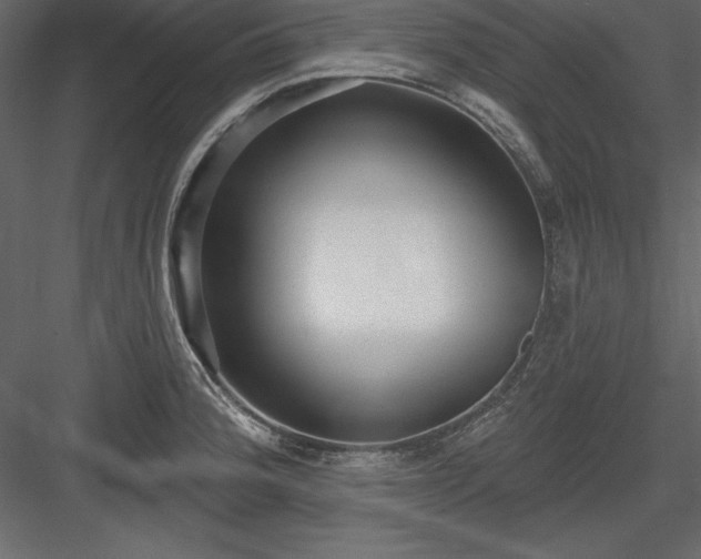 X0000083991188200702232103