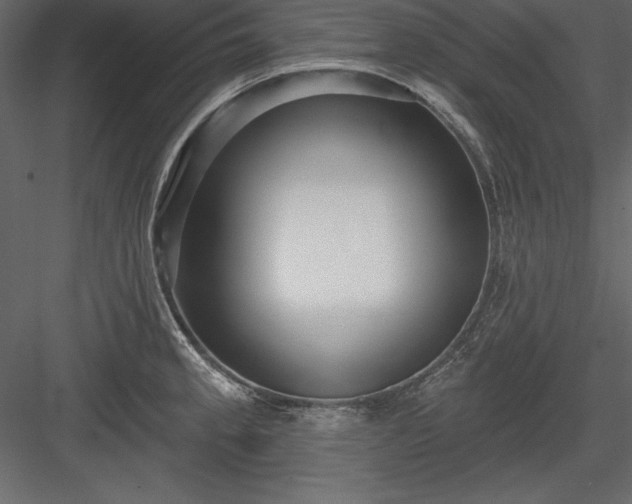 X0000083991189200702232103