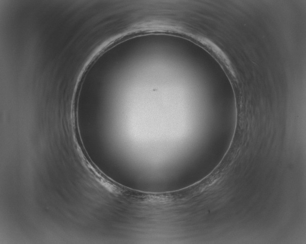 X0000083991191200702232103