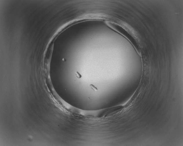 X0000083991192200702232103