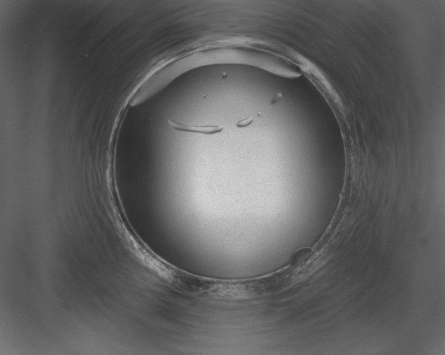 X0000083991194200702232103