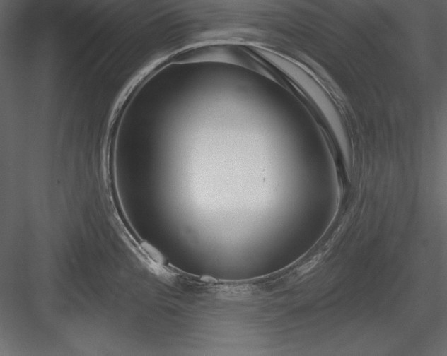 X0000083991196200702232103