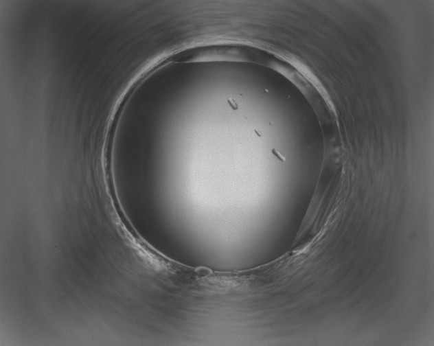 X0000083991197200702232103