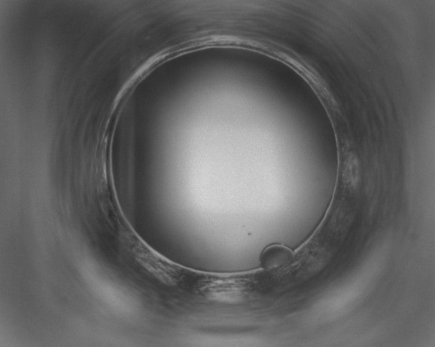 X0000083991198200702232103