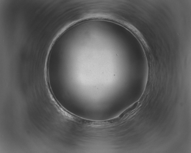 X0000083991199200702232103