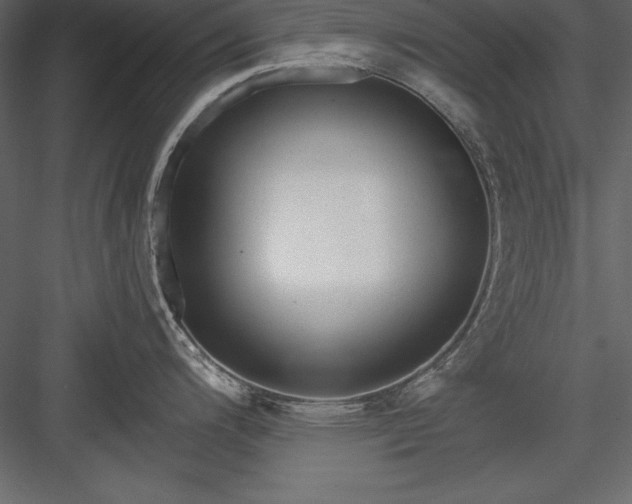 X0000083991200200702232103