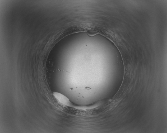 X0000083991201200702232102