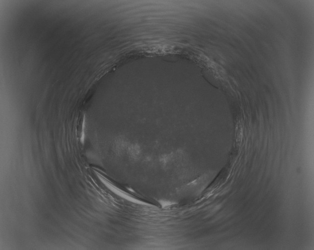 X0000083991202200702232102