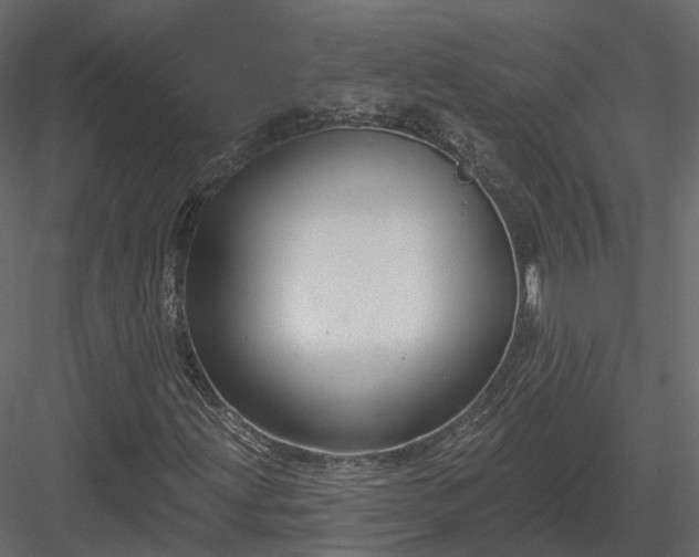 X0000083991203200702232102