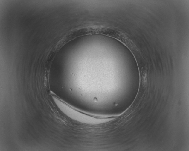 X0000083991204200702232102