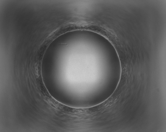 X0000083991205200702232102