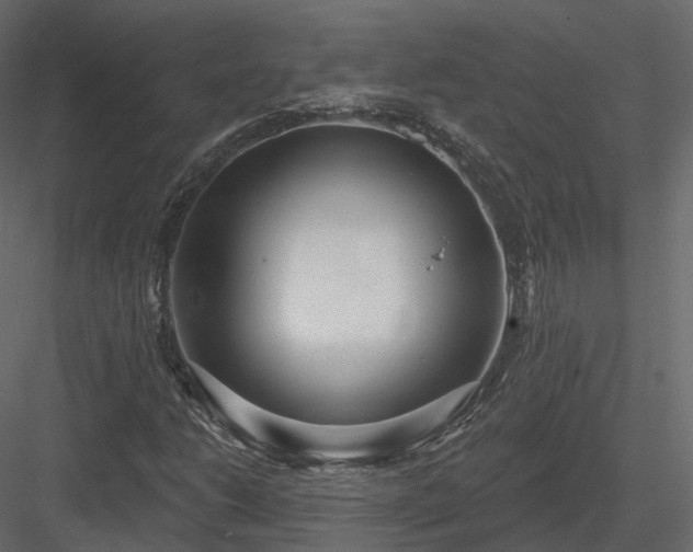 X0000083991206200702232102