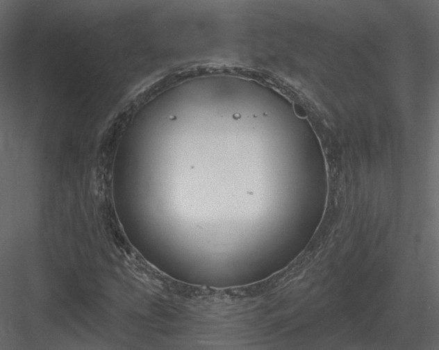 X0000083991207200702232102