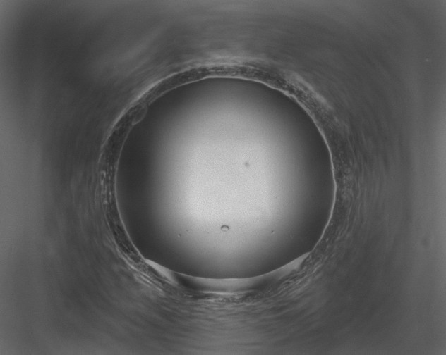 X0000083991208200702232102