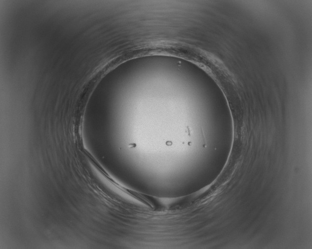 X0000083991209200702232102