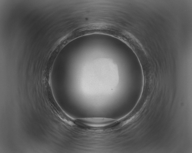 X0000083991210200702232102