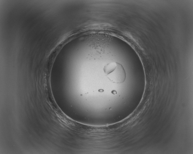 X0000083991211200702232102