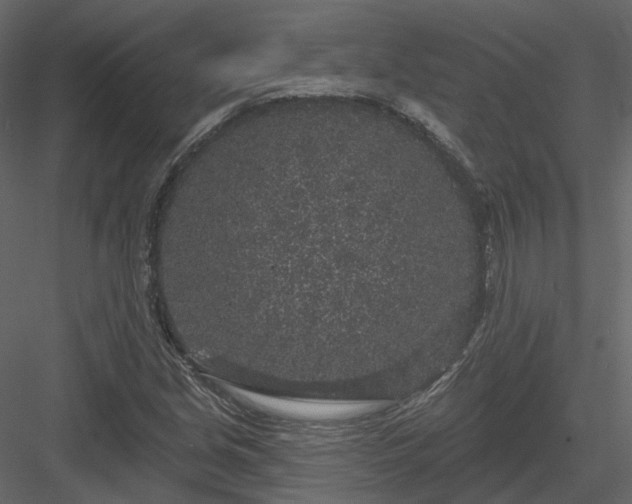 X0000083991213200702232102