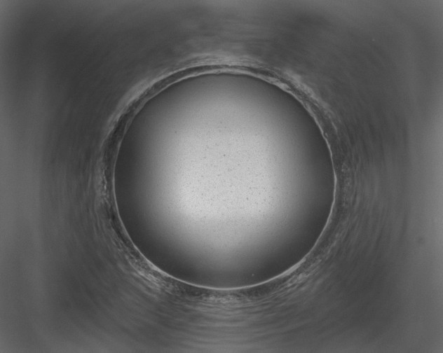 X0000083991215200702232102