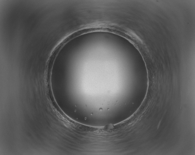 X0000083991216200702232102