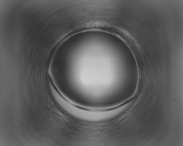 X0000083991217200702232102