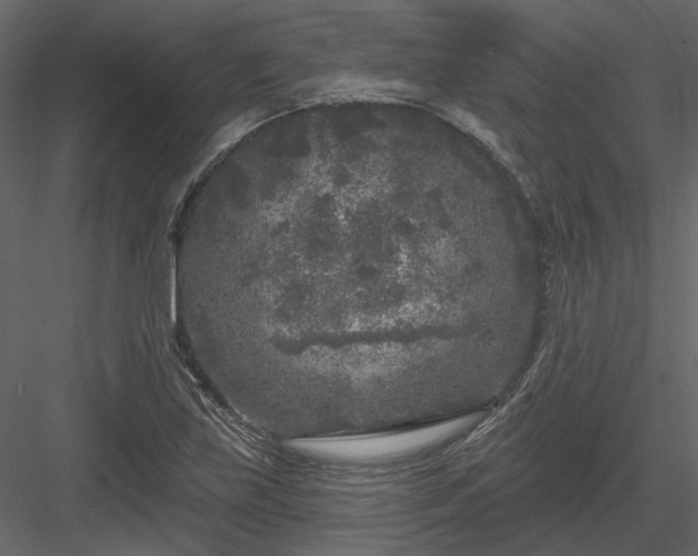 X0000083991219200702232102