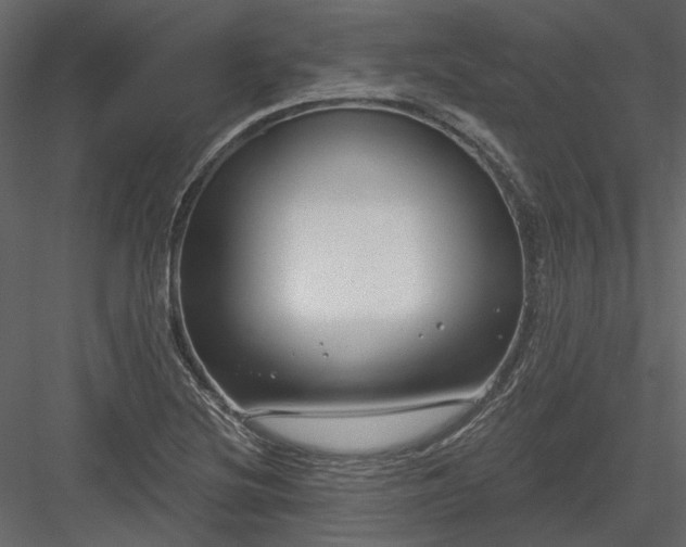 X0000083991220200702232102