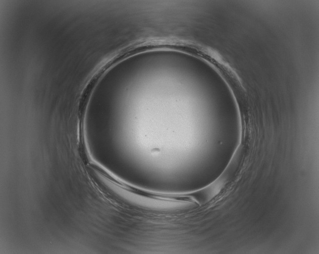 X0000083991221200702232102