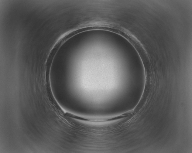 X0000083991222200702232102