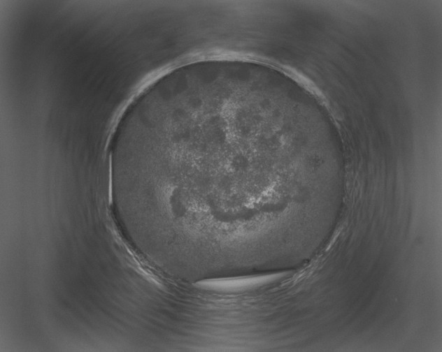 X0000083991223200702232102