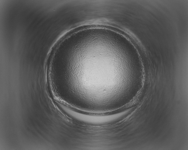 X0000083991224200702232102