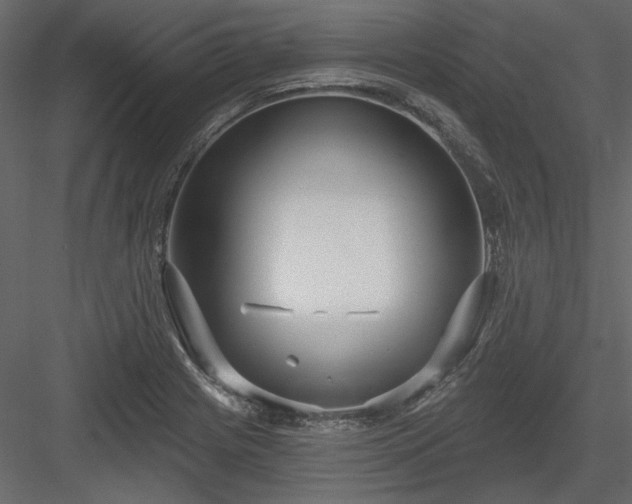 X0000083991225200702232102