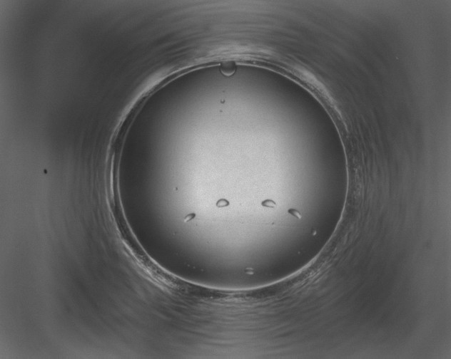 X0000083991227200702232102