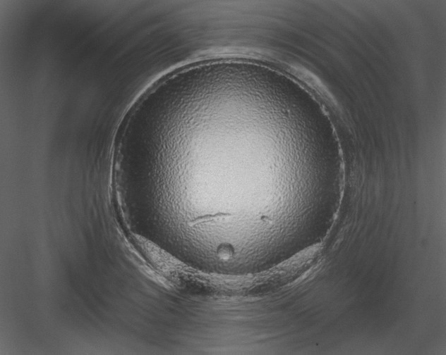 X0000083991228200702232102