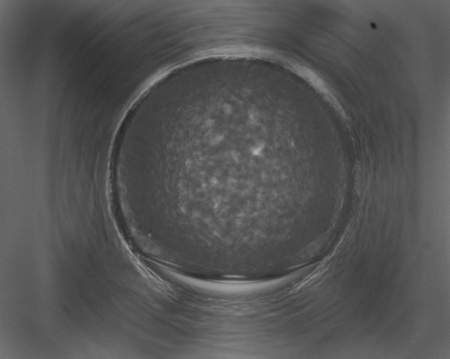 X0000083991229200702232102