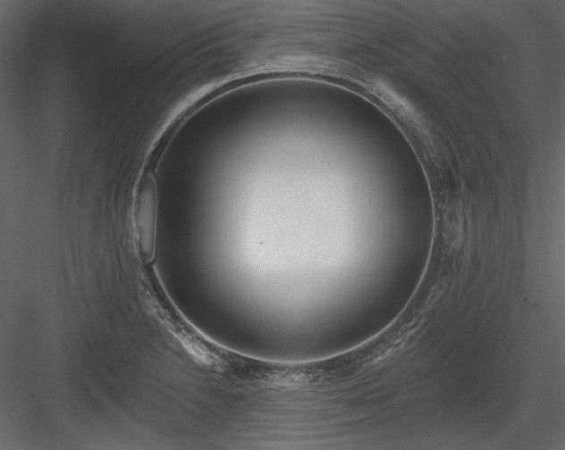 X0000083991230200702232102