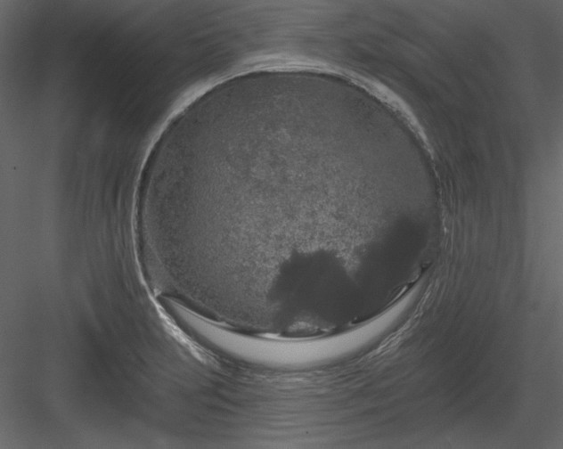 X0000083991231200702232102