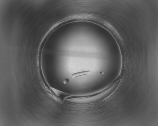 X0000083991232200702232102