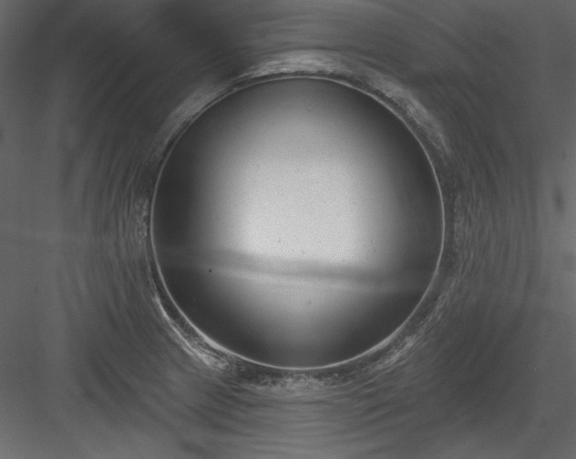 X0000083991233200702232102