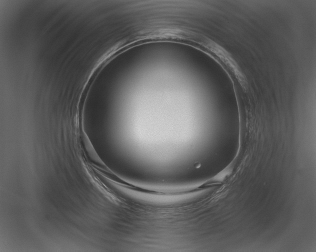 X0000083991234200702232102