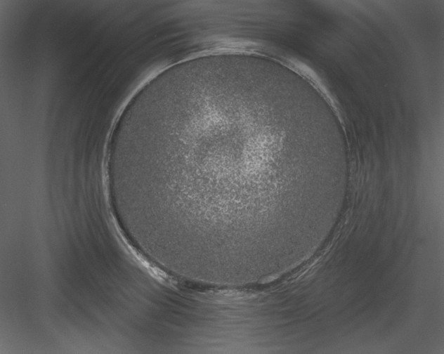 X0000083991235200702232102