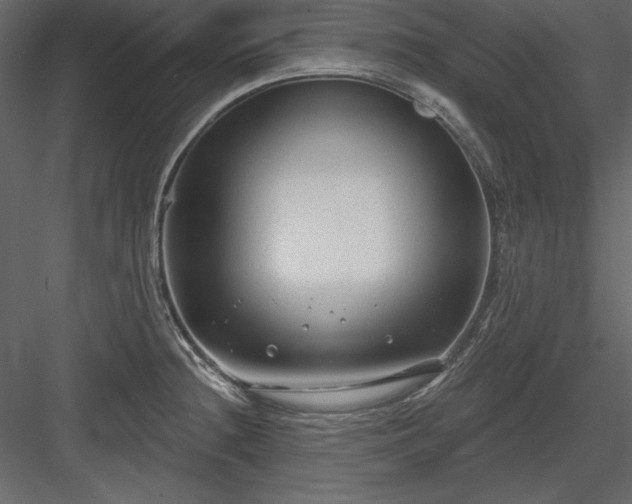 X0000083991236200702232102