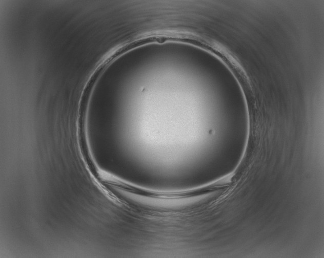 X0000083991237200702232102