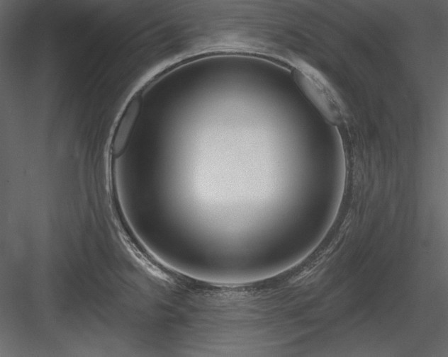 X0000083991238200702232102