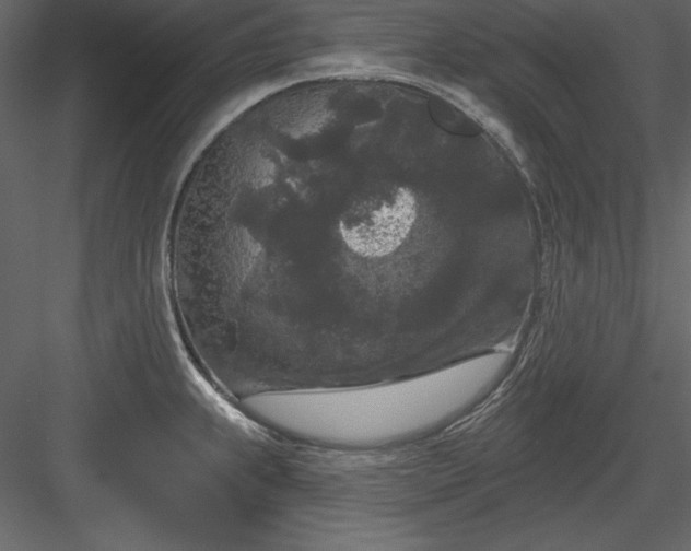 X0000083991239200702232102